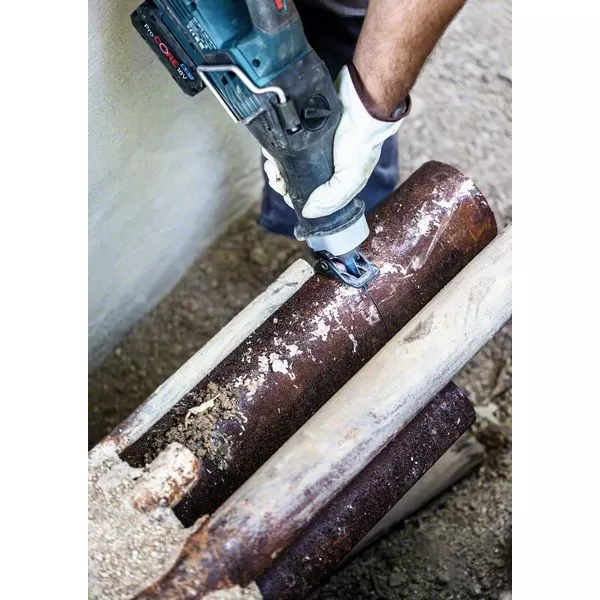 Pilový list S 1255 CHM EXPERT Thick Tough Metal Bosch /bal.1ks/