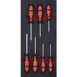 Modul pro nástroje 1/3 Šroubovák Torx FORMAT